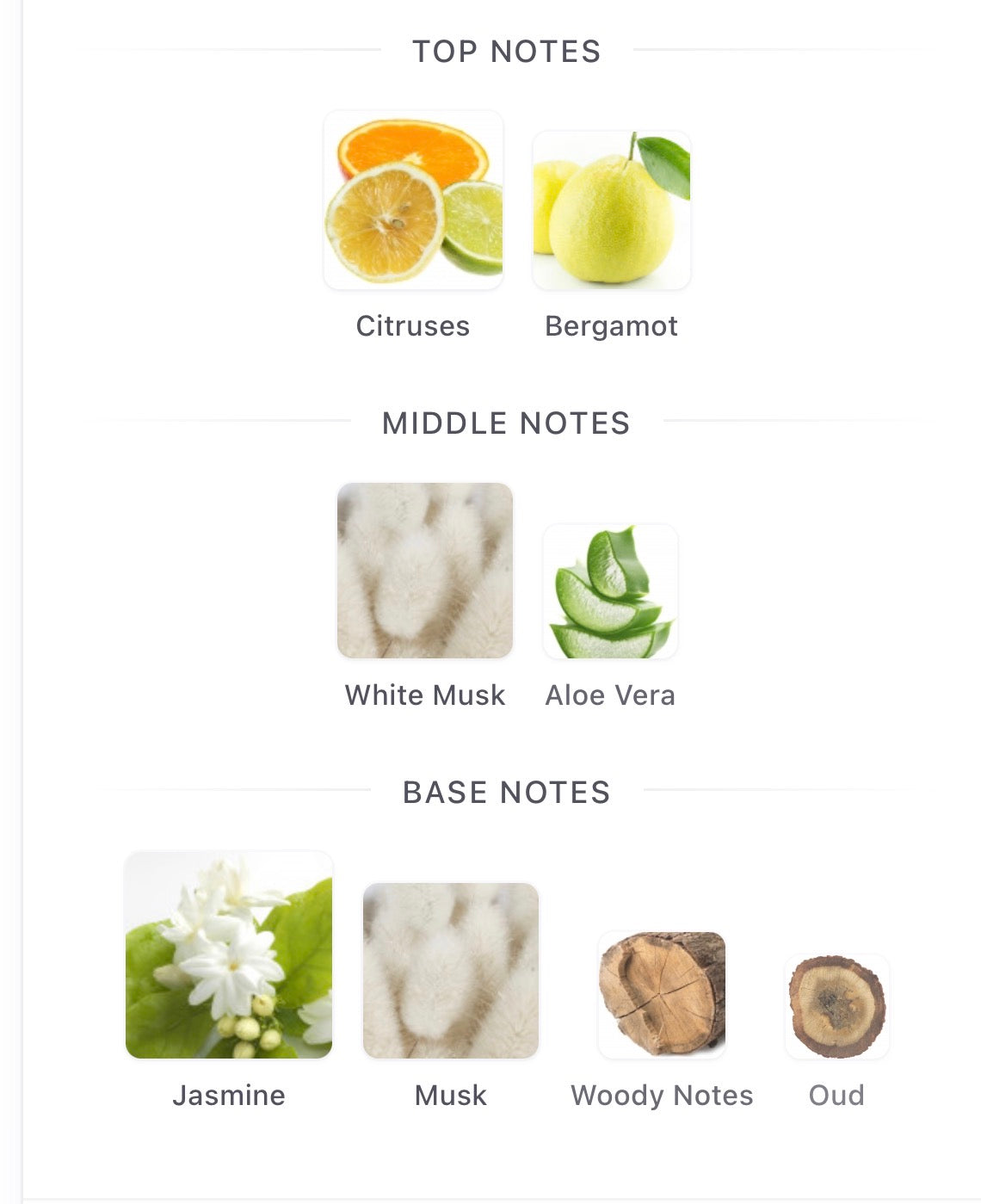 Ameerat Al Arab Asdaaf Split