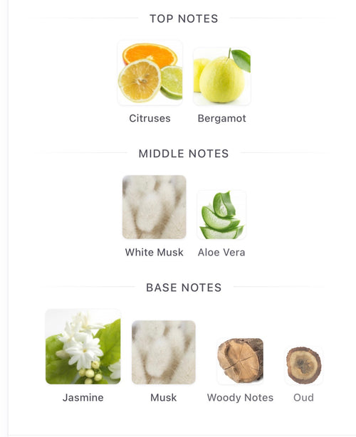 Ameerat Al Arab Asdaaf Split