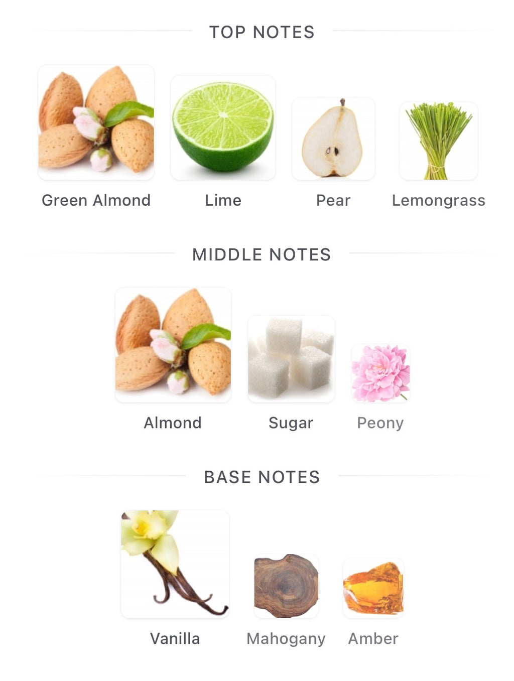 Burberry Brit Eau de Toilette by Burberry Split