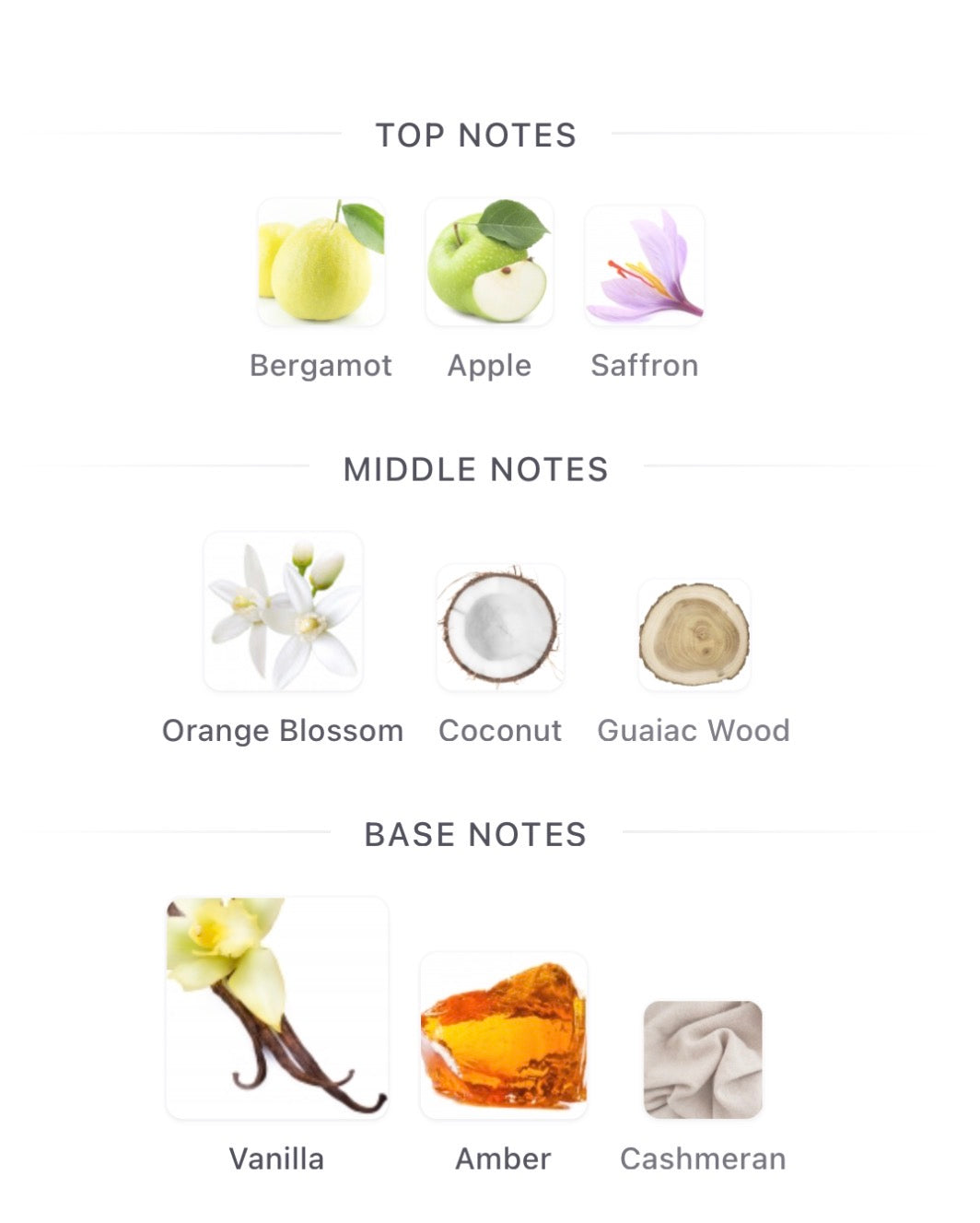 Nude Coral Diamond by Ibrahim Al Qurashi Split