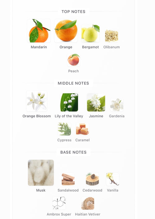 Arrogate Girl by Assaf Split