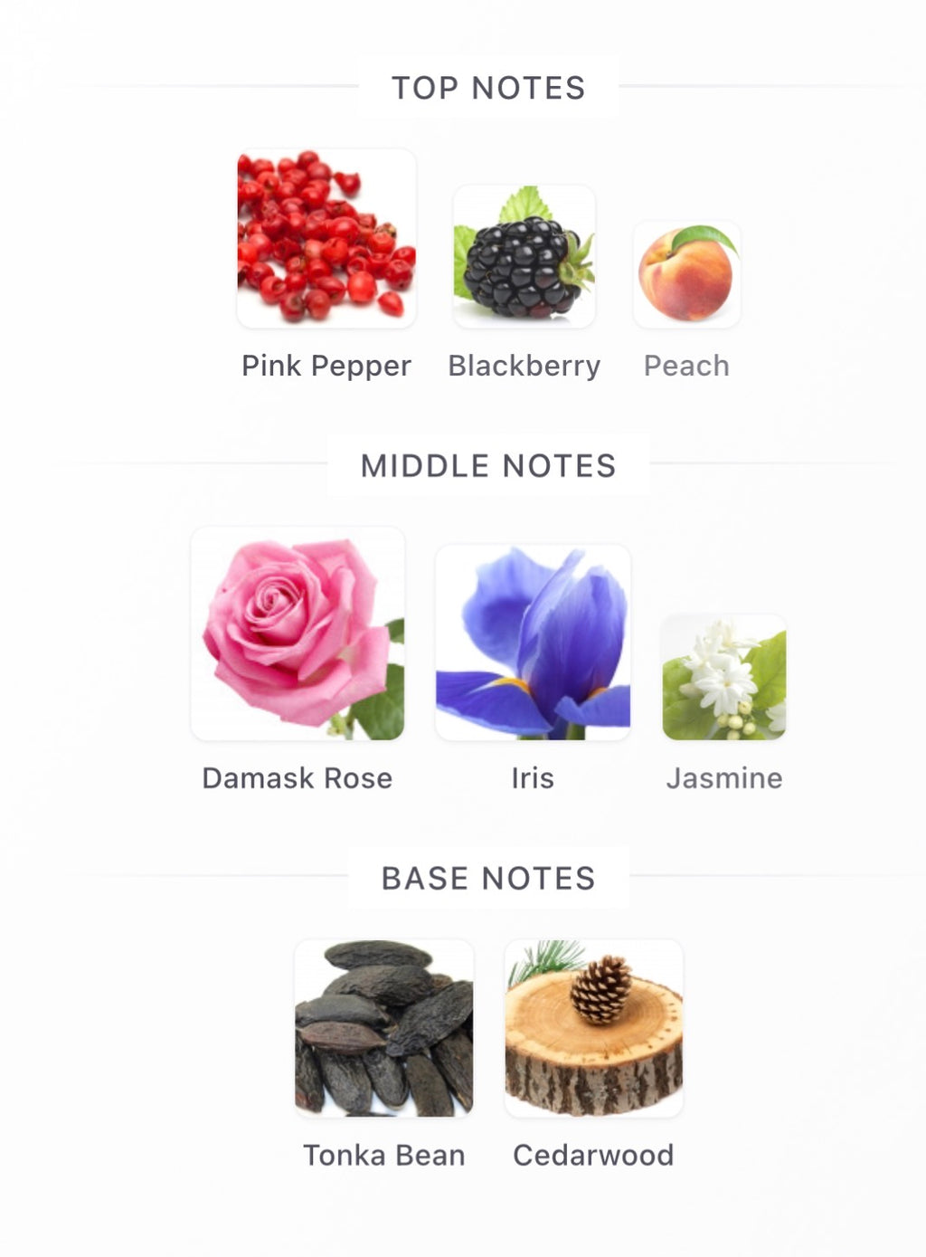 In Love by Laverne Split