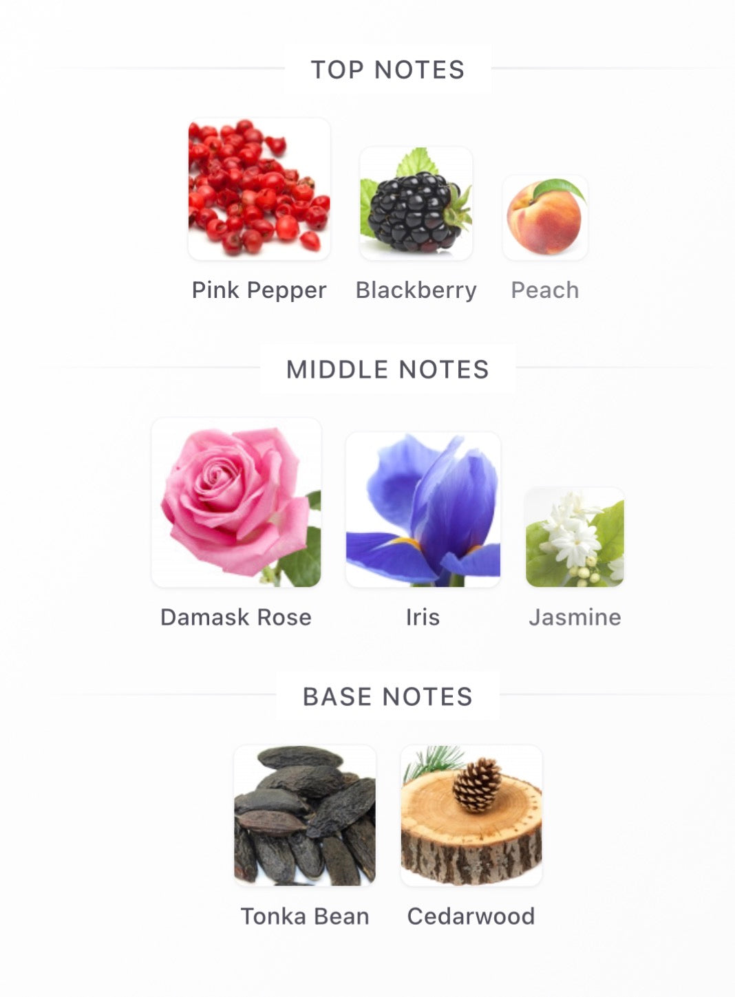 In Love by Laverne Split