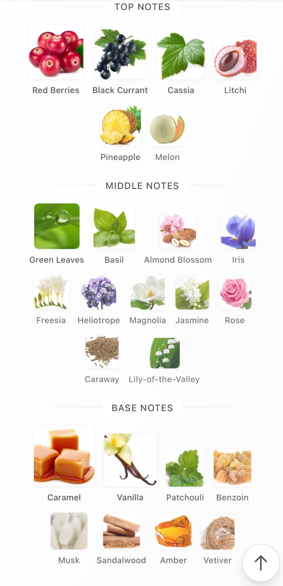 Escada Magnetism Split